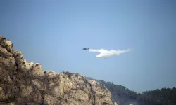 Muğla'daki Orman Yangını 4'üncü Gününde