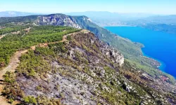 6,5 Kilometrelik Yangın Şeridi Havadan Görüntülendi