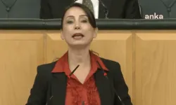 DEM Parti'den Bahçeli'ye Tepki: "Tecrit Kaldırılsın, Öcalan Konuşsun!"