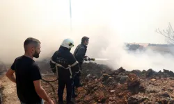 Antalya'da Ağıl Yangını Felakete Dönüştü: 50'den Fazla Keçi ve Koyun Telef Oldu