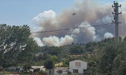 Çanakkale’de tarım arazisinde çıkan yangın ormana sıçradı