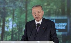 Cumhurbaşkanı Erdoğan: Yeşil Vatan Seferberliği başlatıyoruz