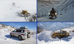 Karla Mücadele Ekipleri Bitlis'te Köy Yollarını Açmak İçin Seferber Oldu