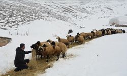 Bitlis’te Besicilerin Zorlu Kış Mesaisi Devam Ediyor