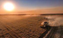 IPARD-III Desteklerine Türkiye'nin Dört Bir Yanından Yoğun İlgi: Şanlıurfa, Afyonkarahisar ve Bursa İlk Sıralarda