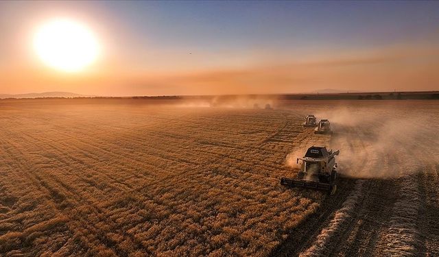 IPARD-III Desteklerine Türkiye'nin Dört Bir Yanından Yoğun İlgi: Şanlıurfa, Afyonkarahisar ve Bursa İlk Sıralarda