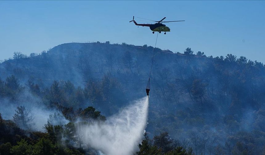UNFF Başkanı: Türkiye bu alanda liderliğe aday