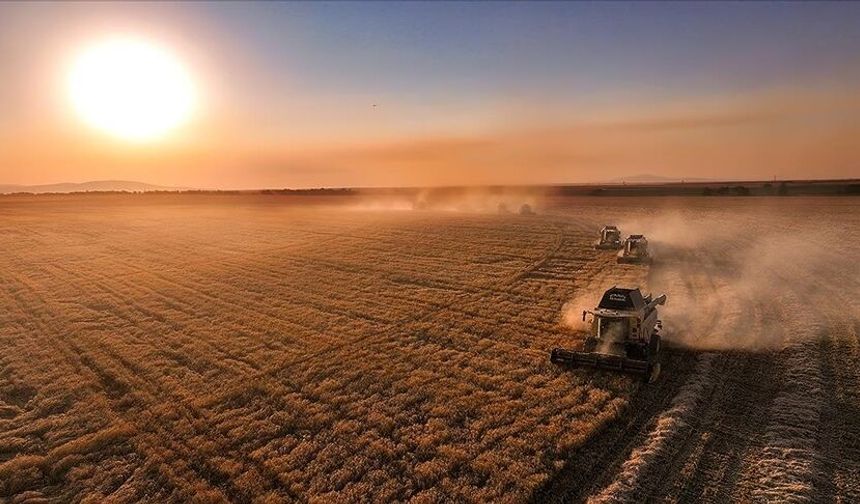 "IPARD-III Destekleri Türkiye'nin Dört Bir Yanından Büyük İlgi Görüyor: Şanlıurfa, Afyonkarahisar ve Bursa Öne Çıkıyor"