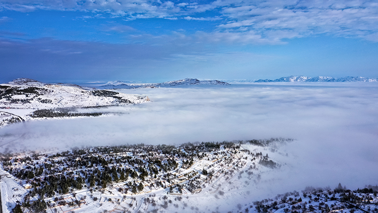 2026 9 20260115 2 72504302 121187716