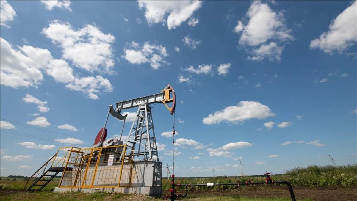 696889708Fcb5210 W1200Xh676